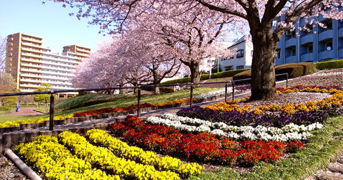 🏞️ 카니가사와 공원 이미지 5